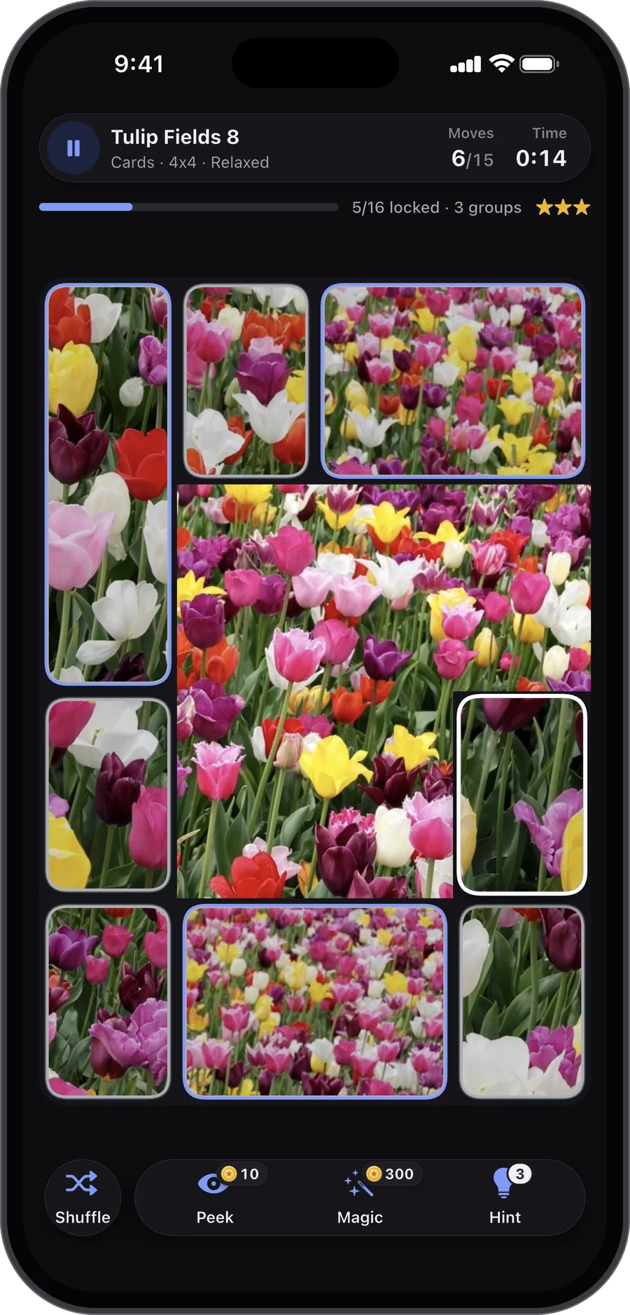 A puzzle of tulip fields in Carden, about a third of its cards in place and a few groups joined