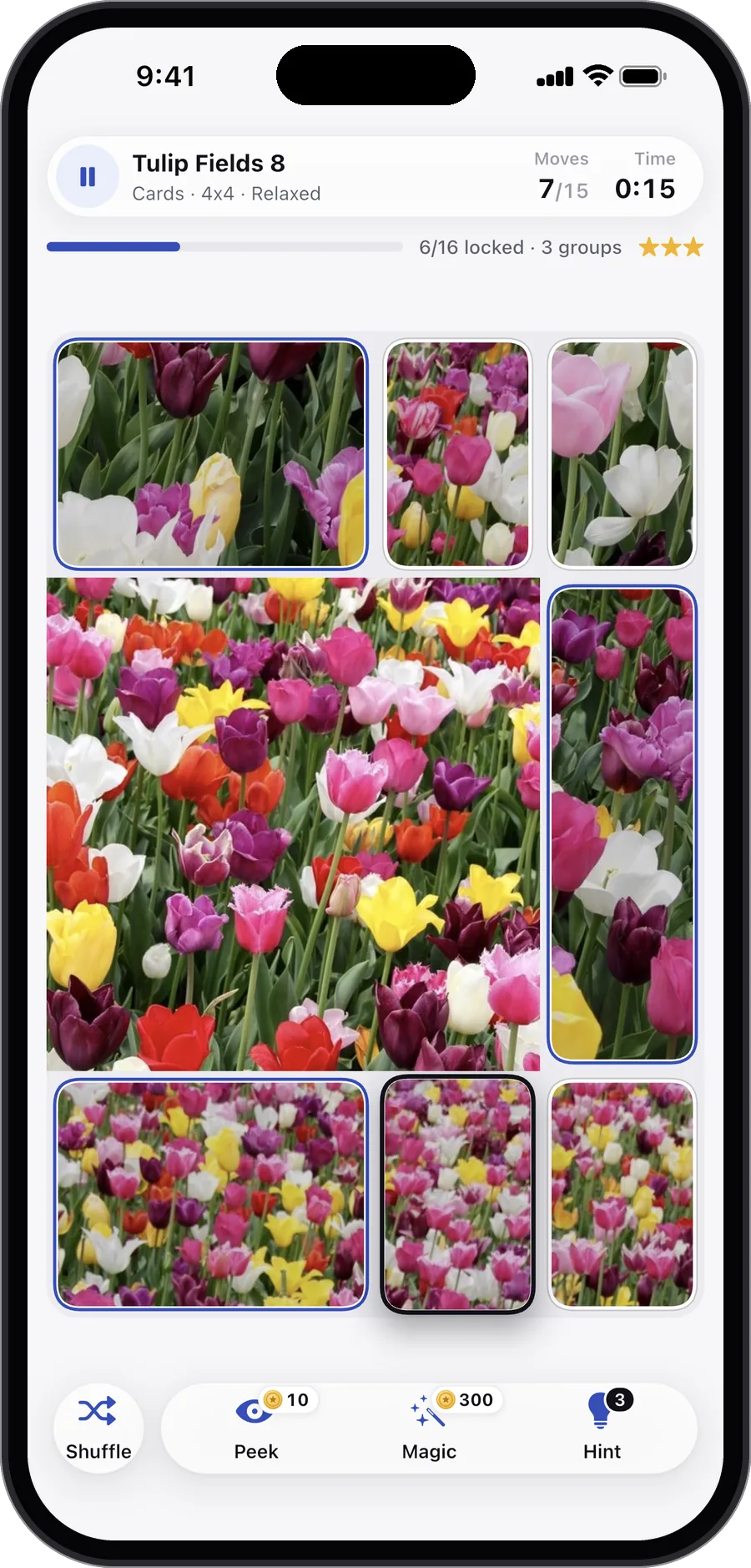 A puzzle of tulip fields in Carden, about a third of its cards in place and a few groups joined